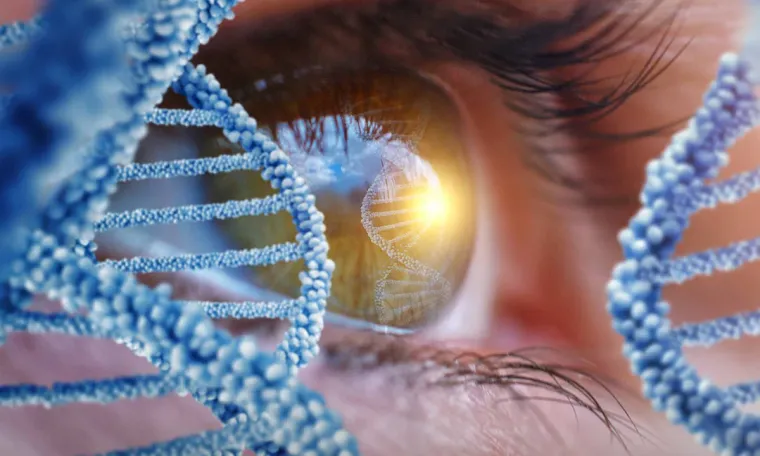 Ocular Oncology